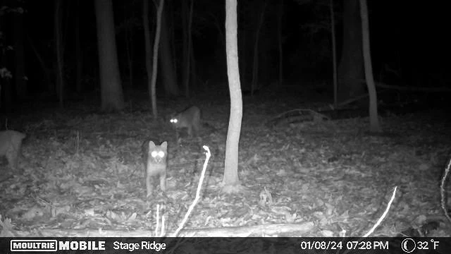 00 Rock Cliff RD - Photo 13