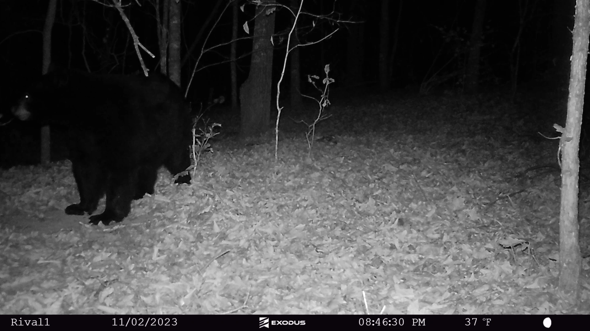 00 Rock Cliff RD - Photo 14
