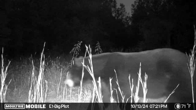00 Rock Cliff RD - Photo 15