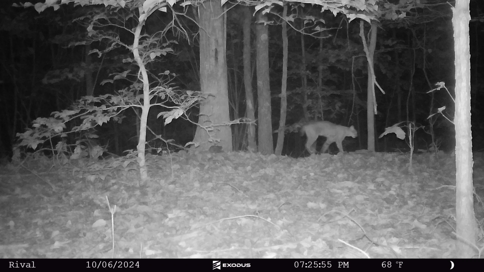 00 Rock Cliff RD - Photo 16