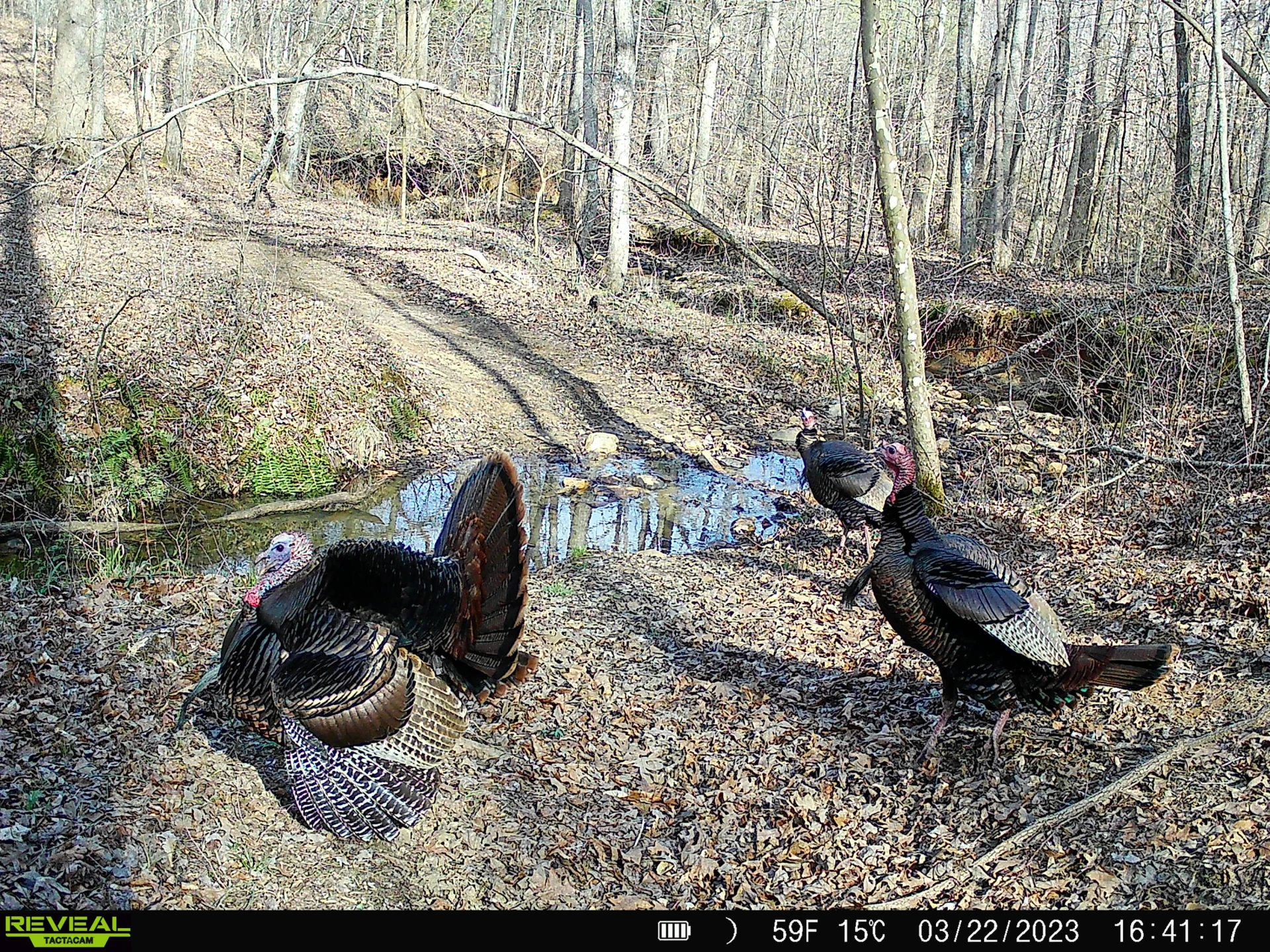 00 Rock Cliff RD - Photo 17