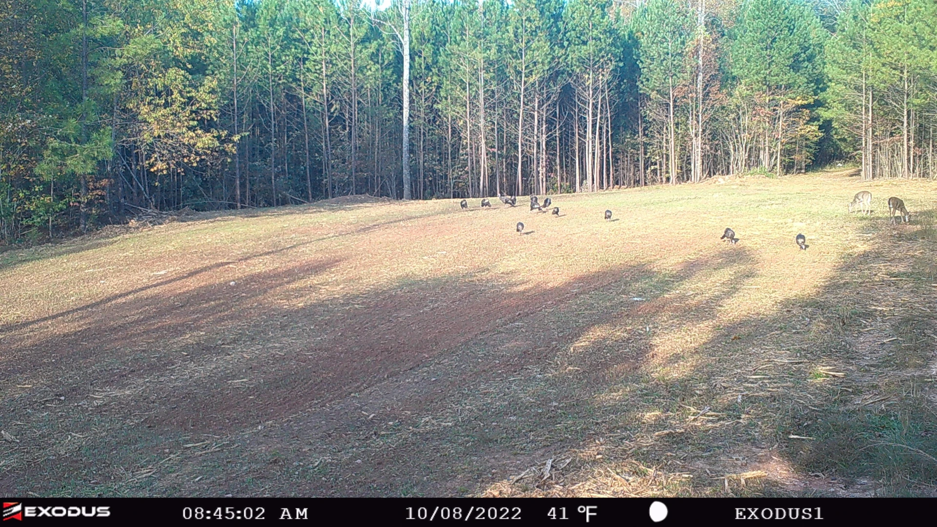 00 Rock Cliff RD - Photo 18