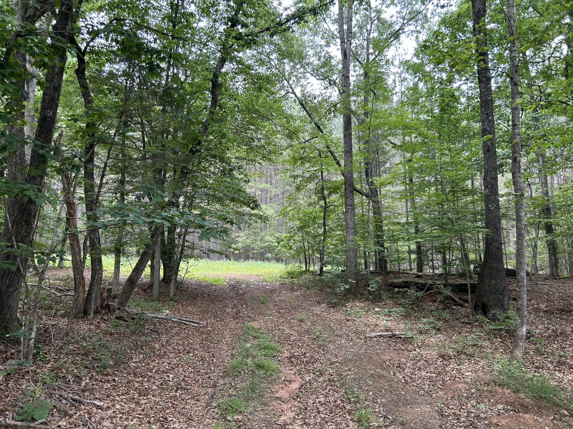 00 Rock Cliff RD - Photo 19