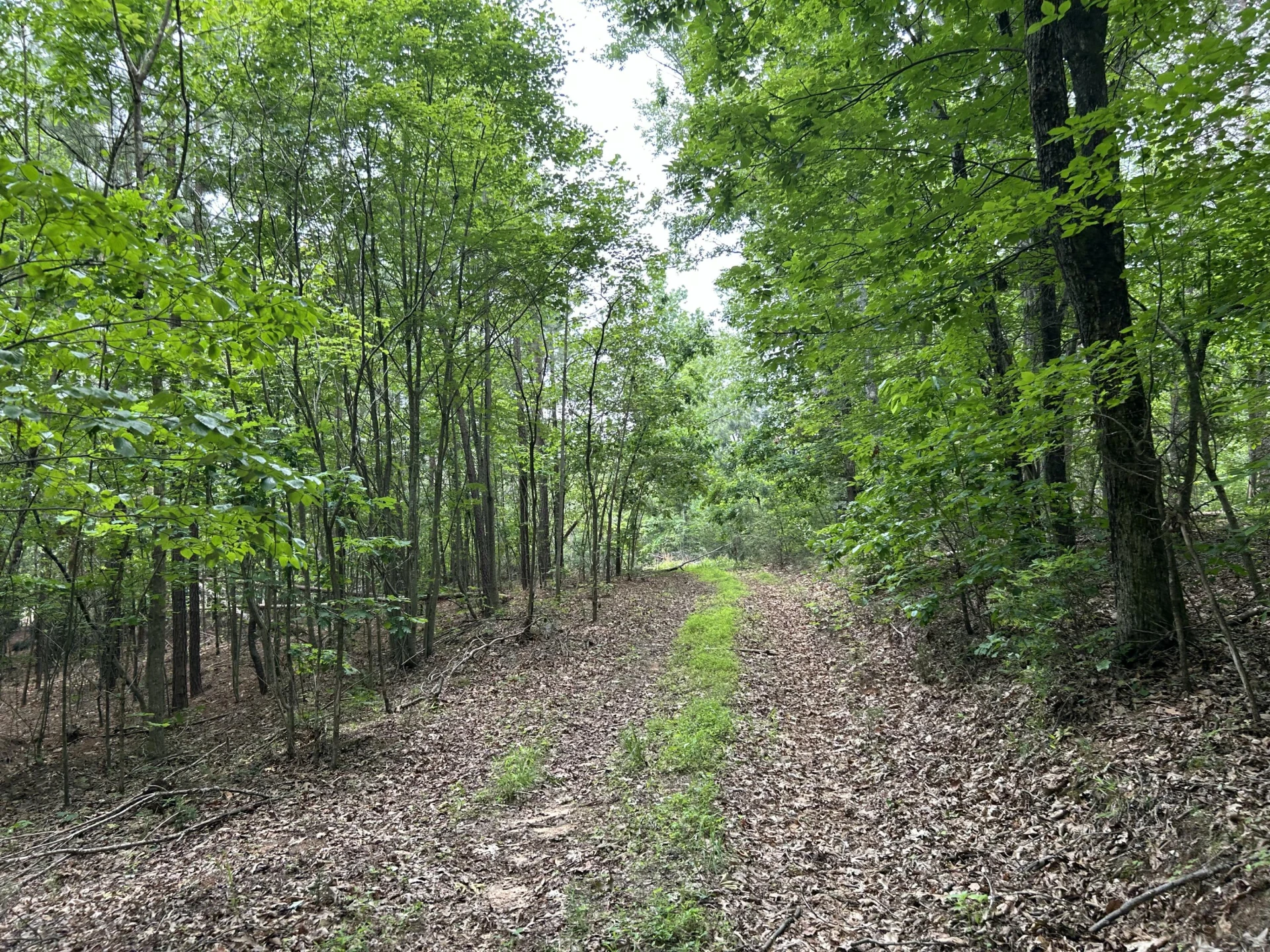 00 Rock Cliff RD - Photo 20