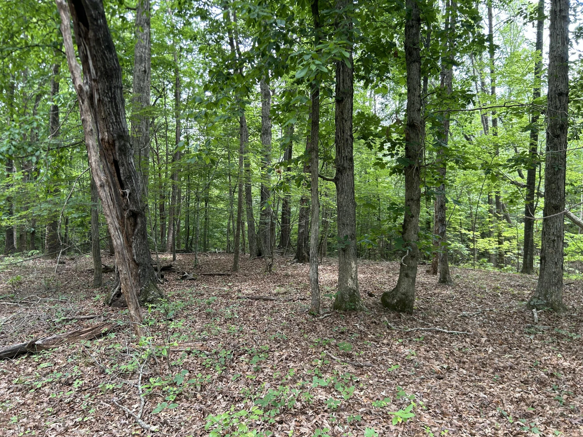 00 Rock Cliff RD - Photo 21