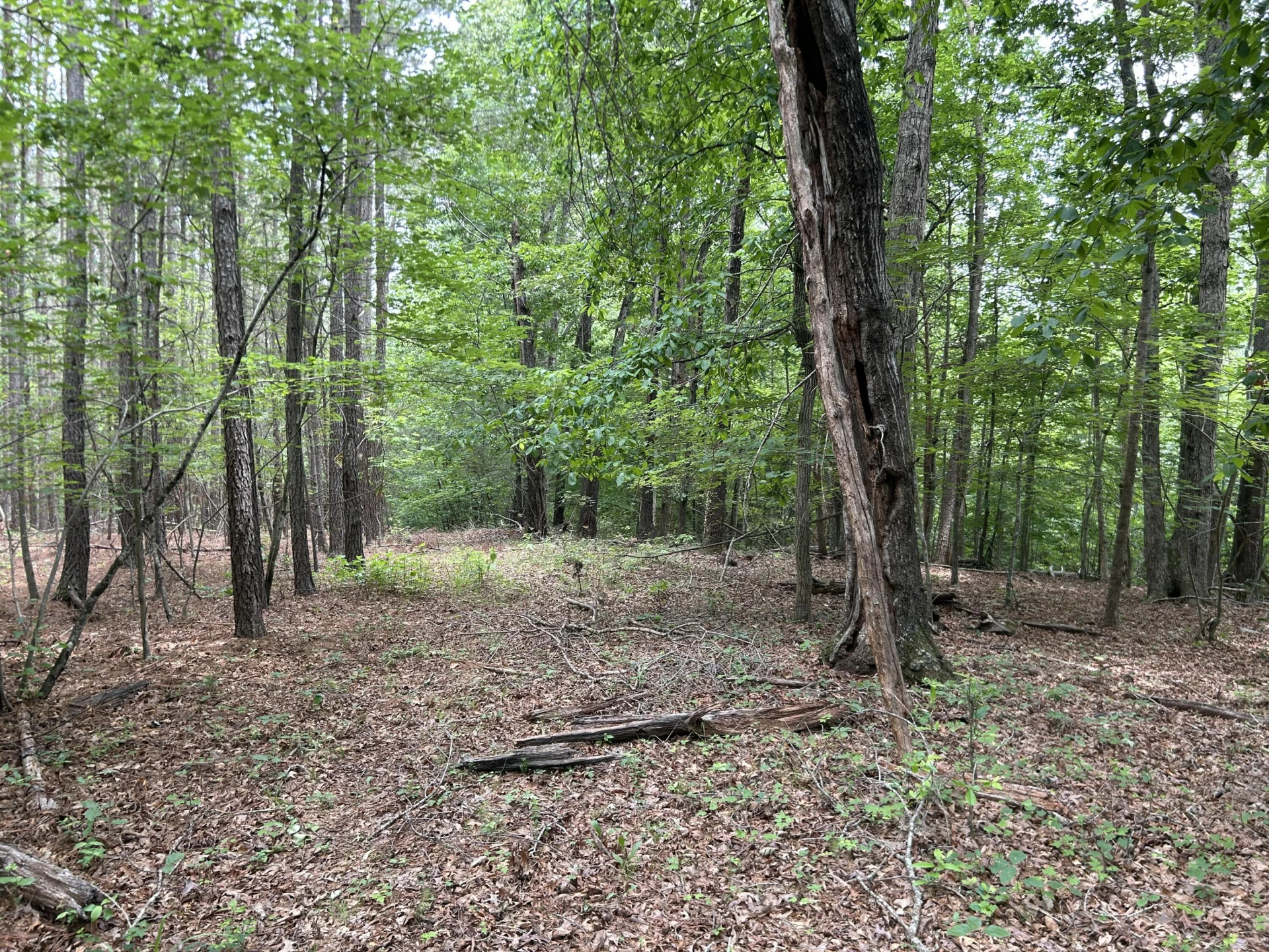 00 Rock Cliff RD - Photo 22