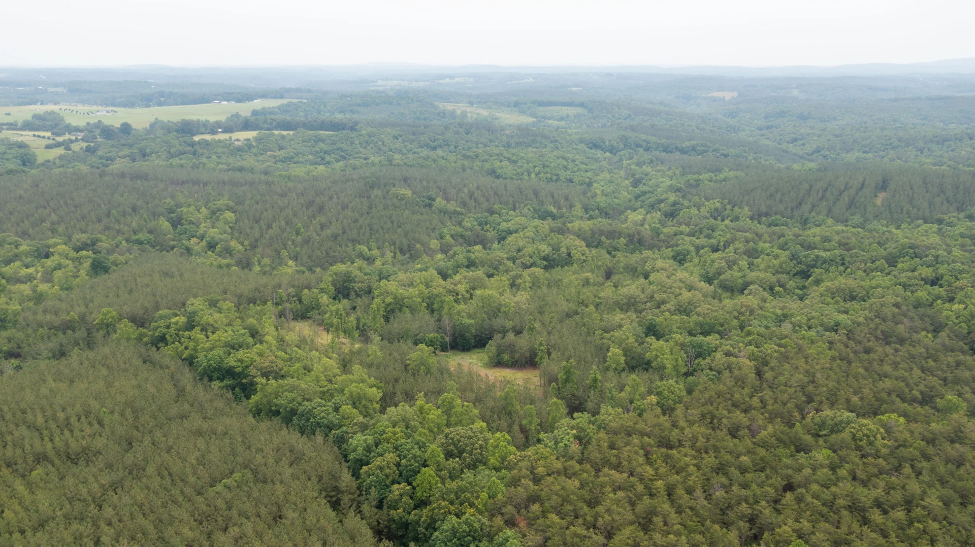 00 Rock Cliff RD - Photo 25