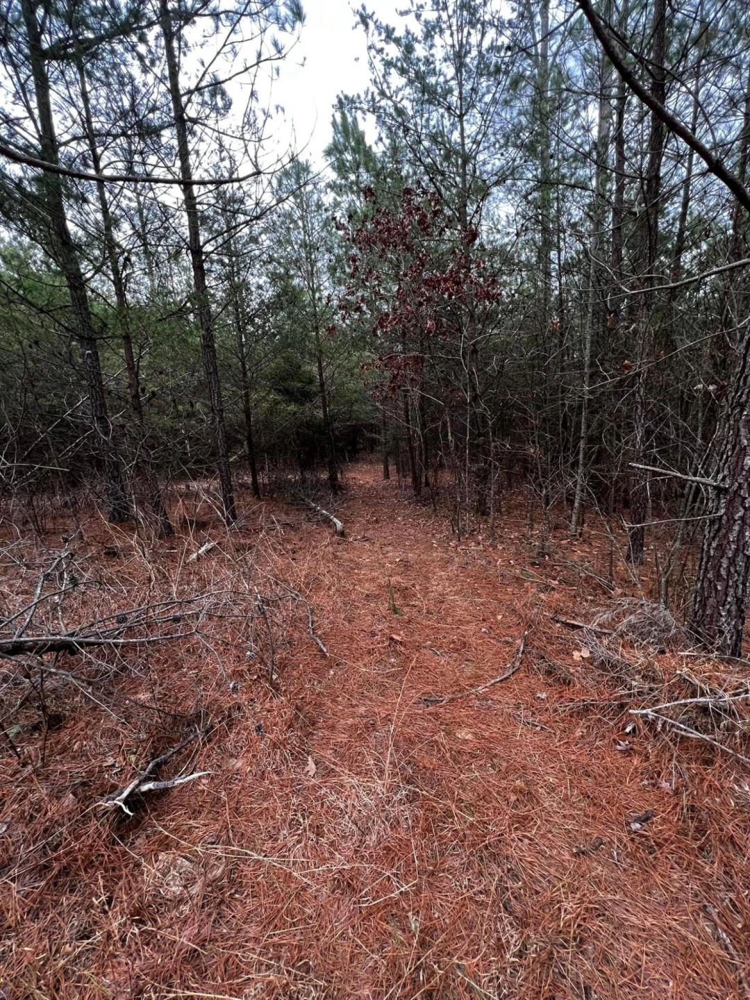 00 Rock Cliff RD - Photo 27