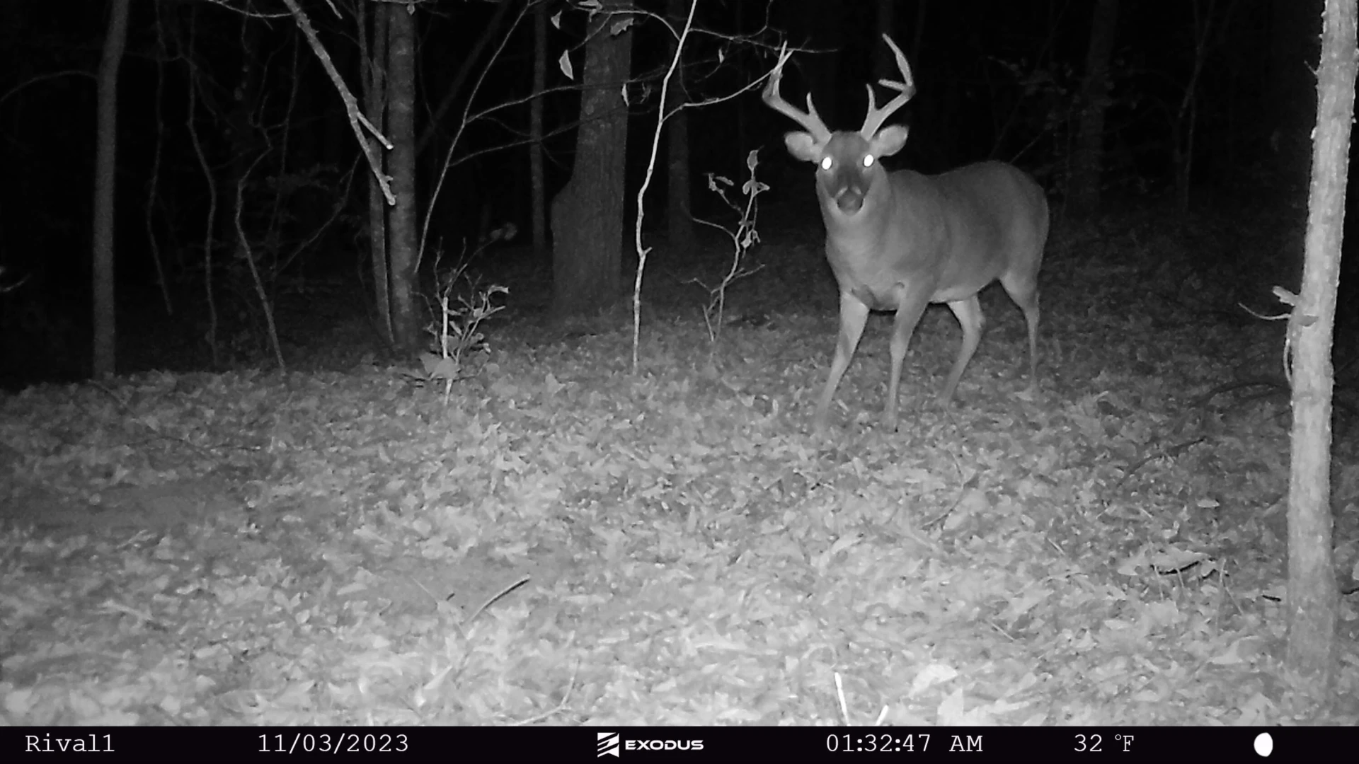 00 Rock Cliff RD - Photo 28