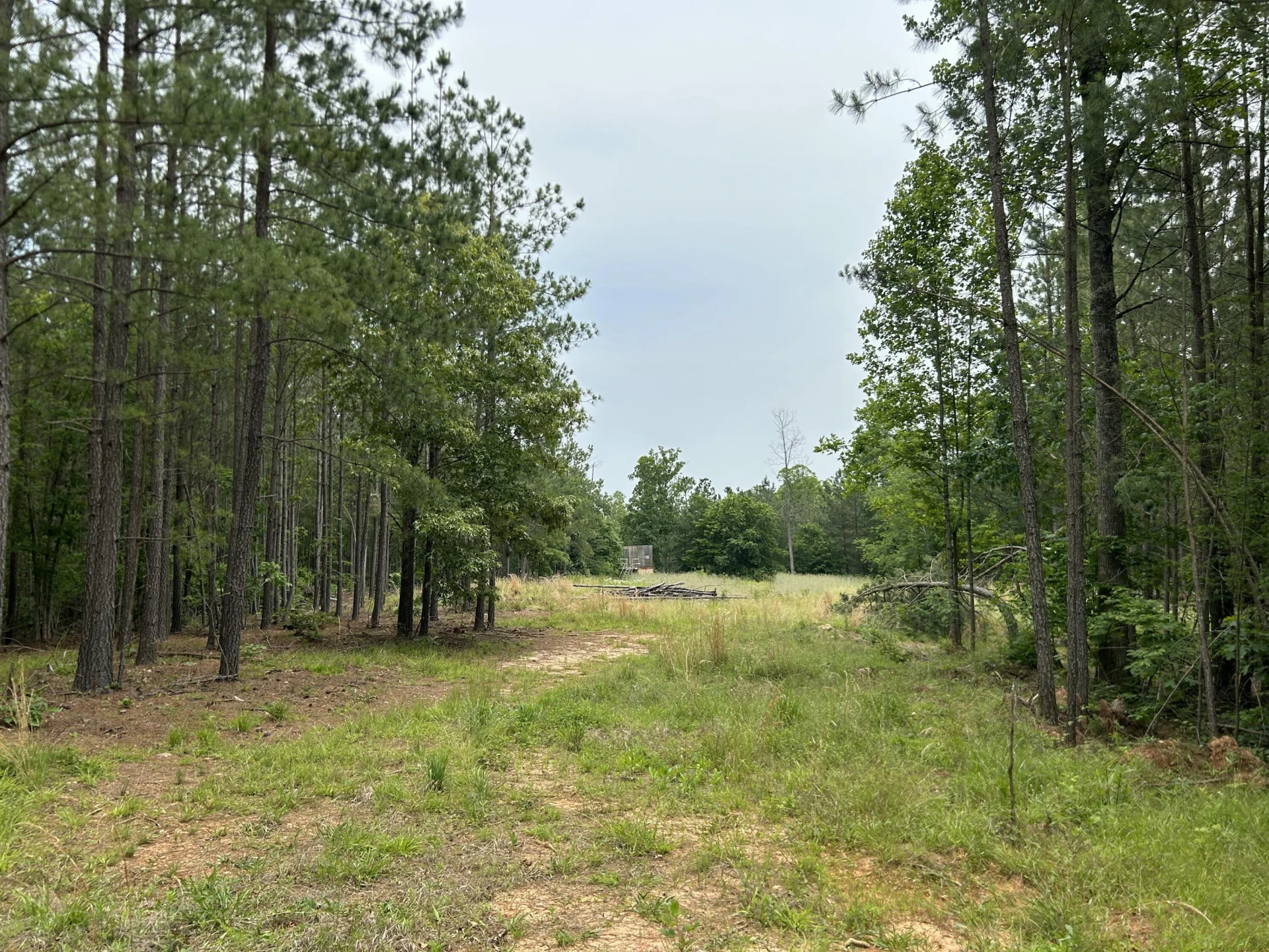 00 Rock Cliff RD - Photo 4