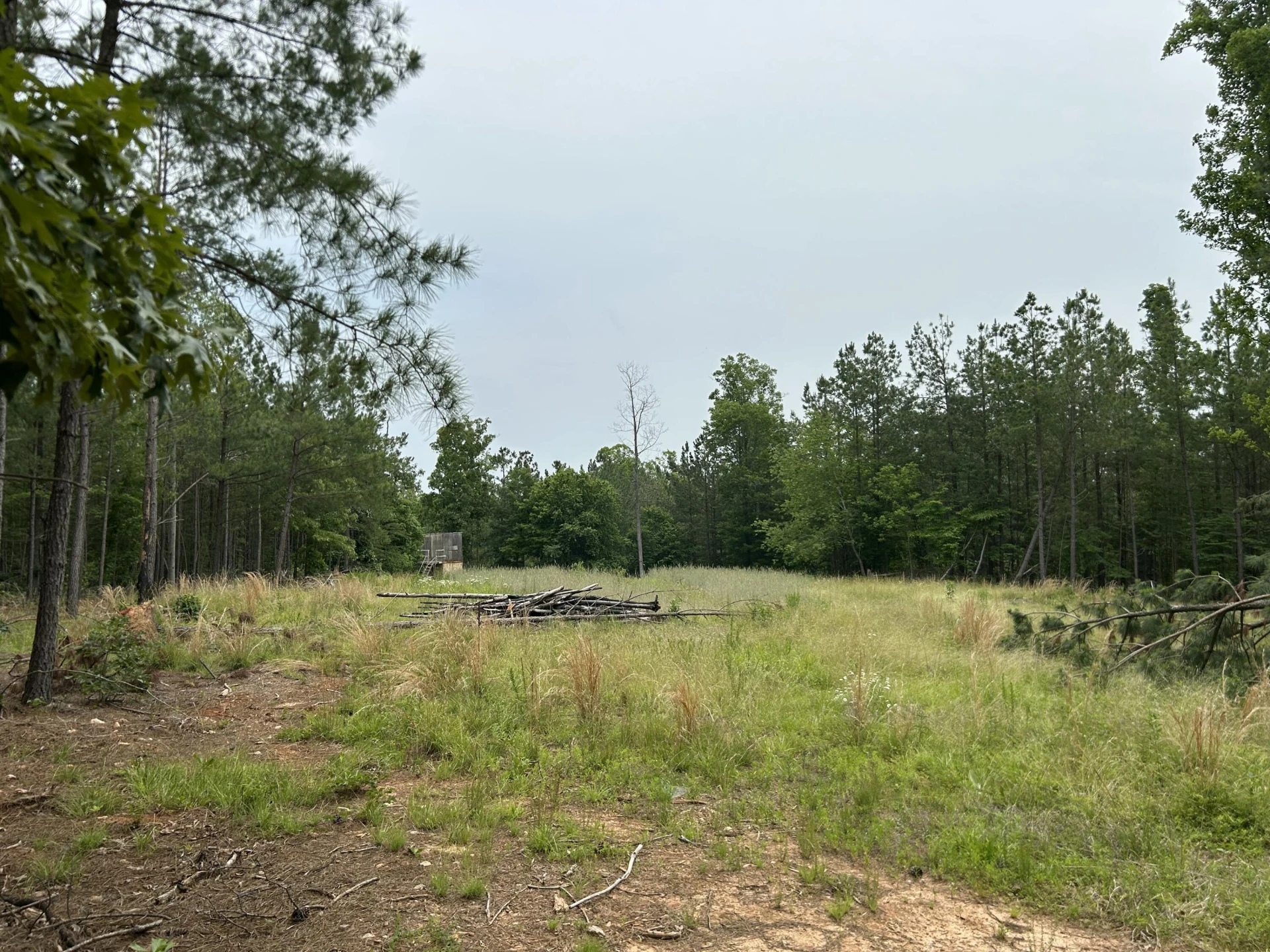00 Rock Cliff RD - Photo 6