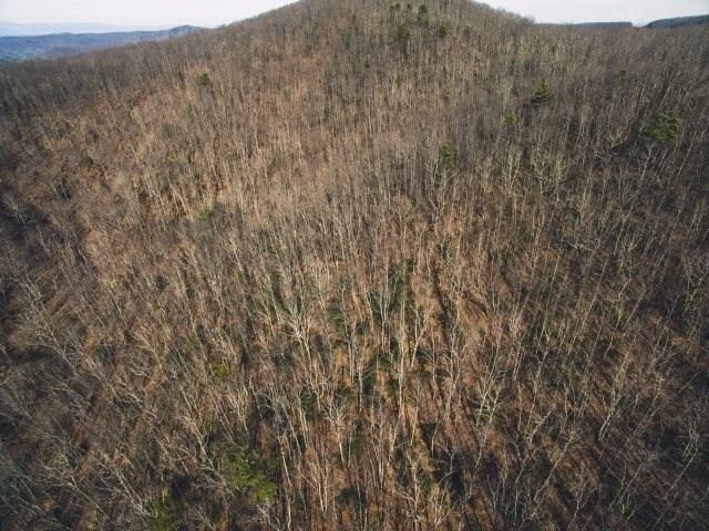 0 Macks Mountain RD NW - Photo 2
