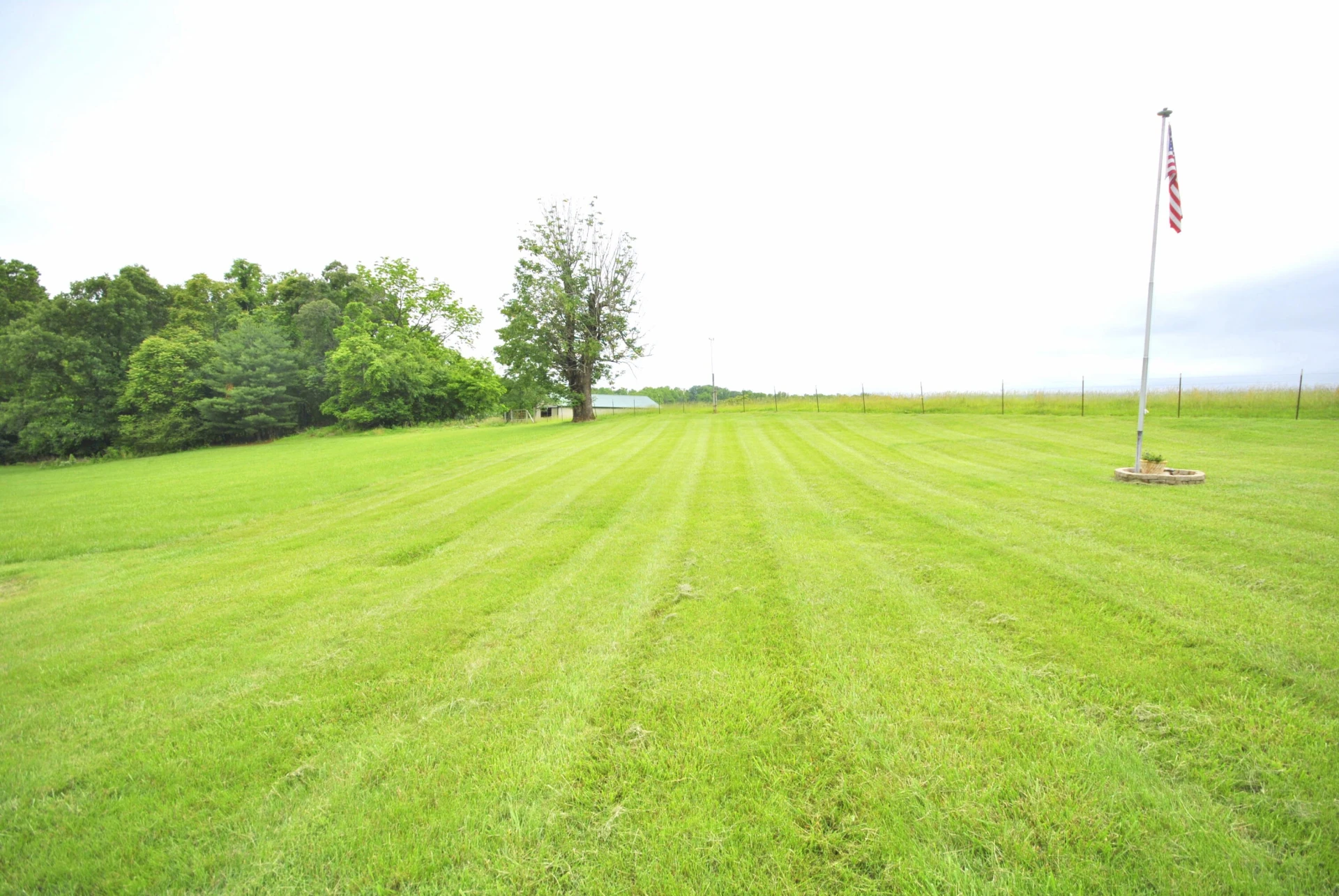 202 SPRINGHILL CIR - Photo 10