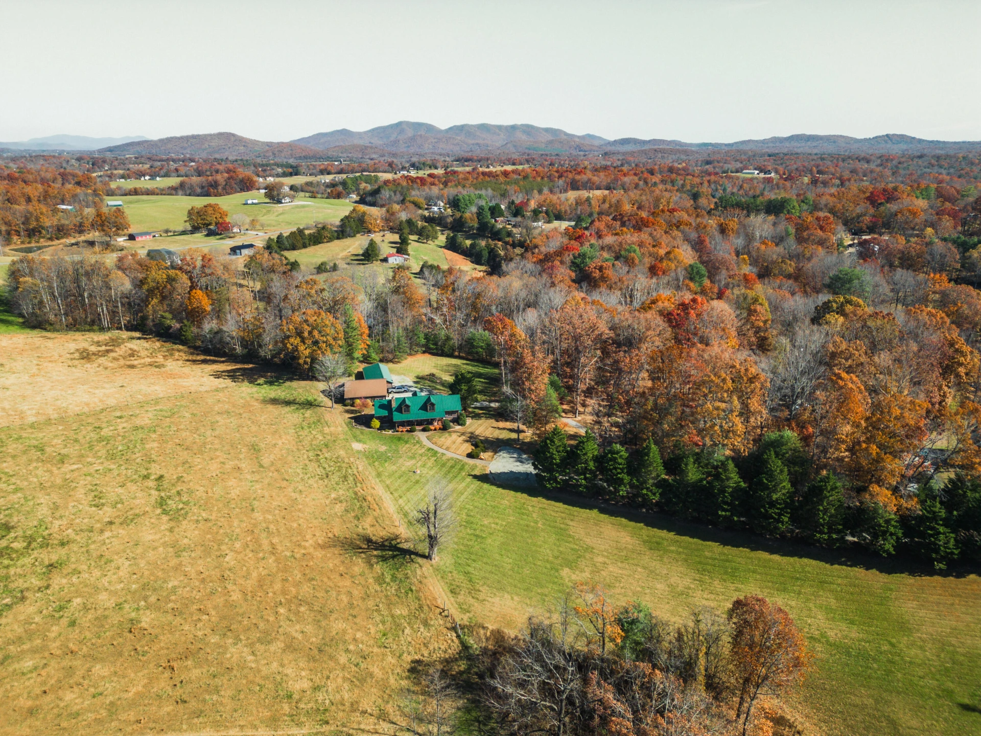 202 SPRINGHILL CIR - Photo 2