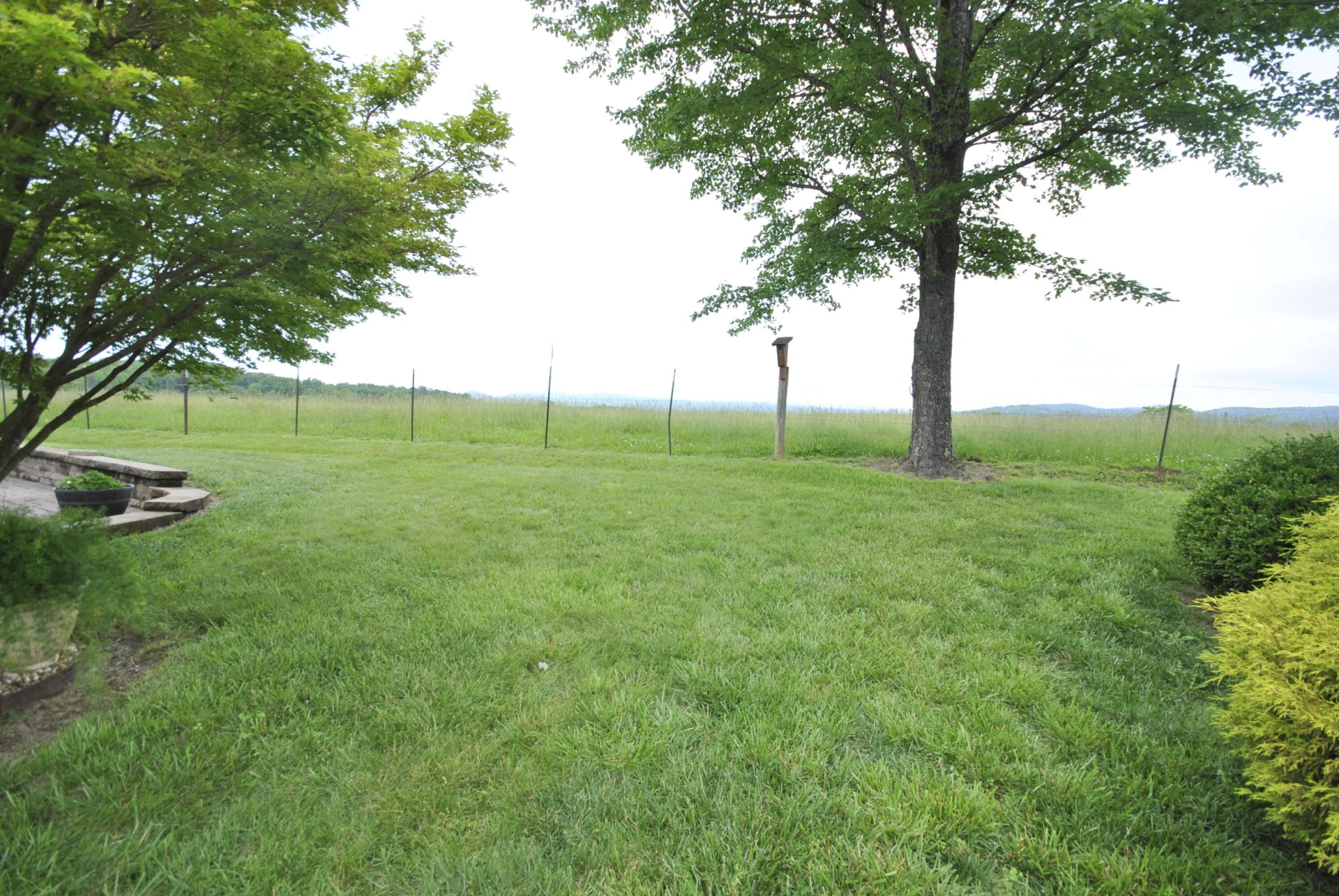 202 SPRINGHILL CIR - Photo 70