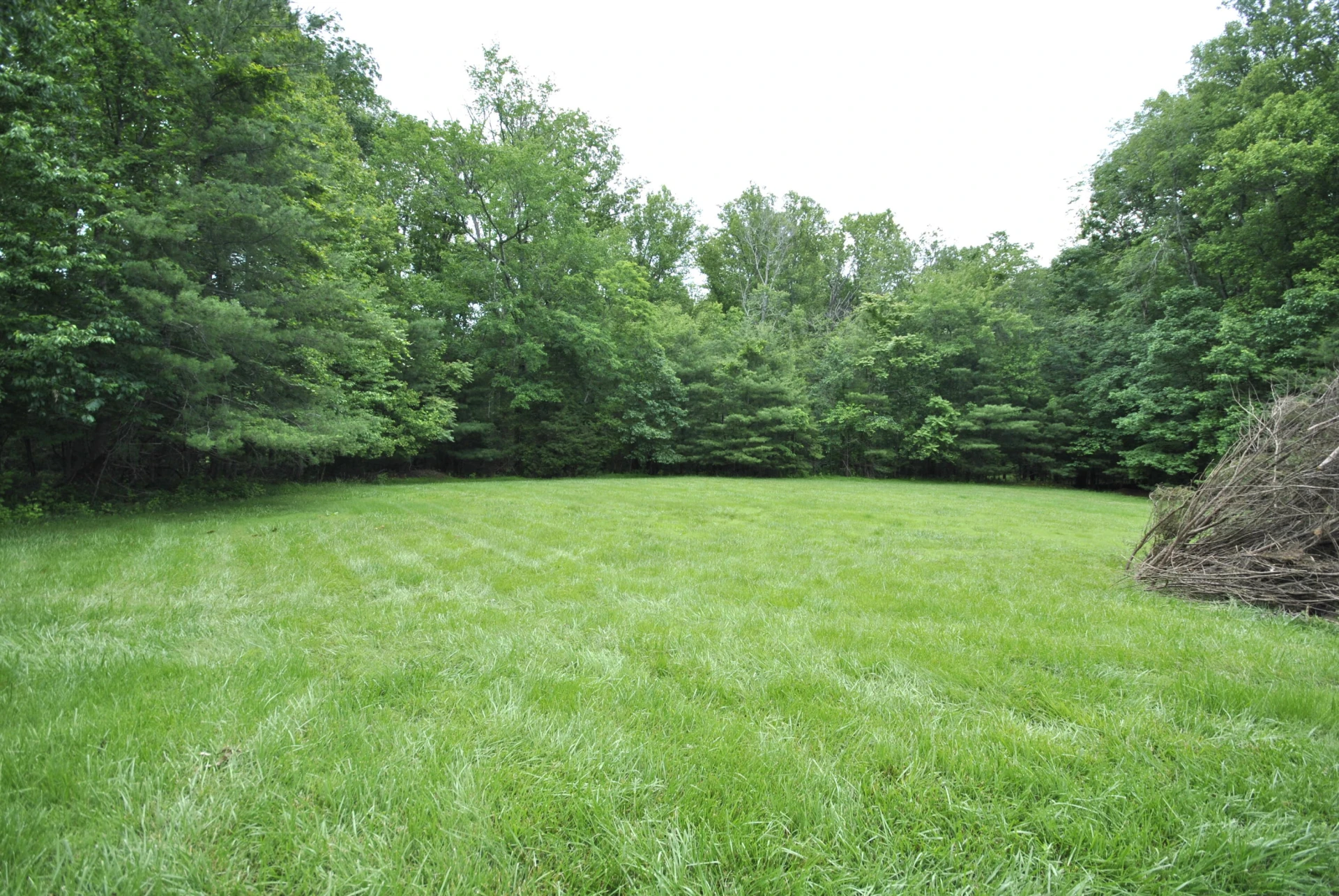 202 SPRINGHILL CIR - Photo 84