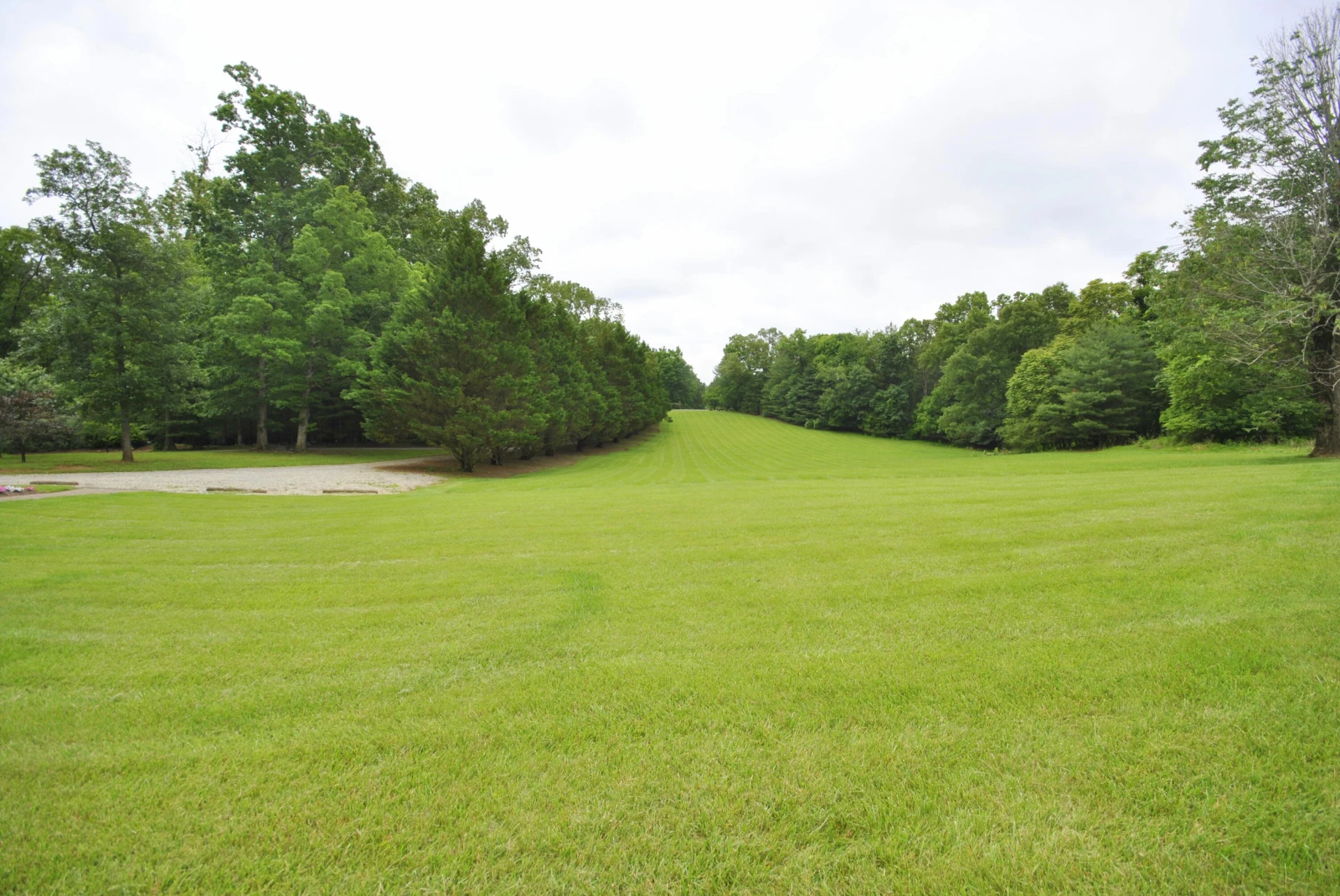 202 SPRINGHILL CIR - Photo 89