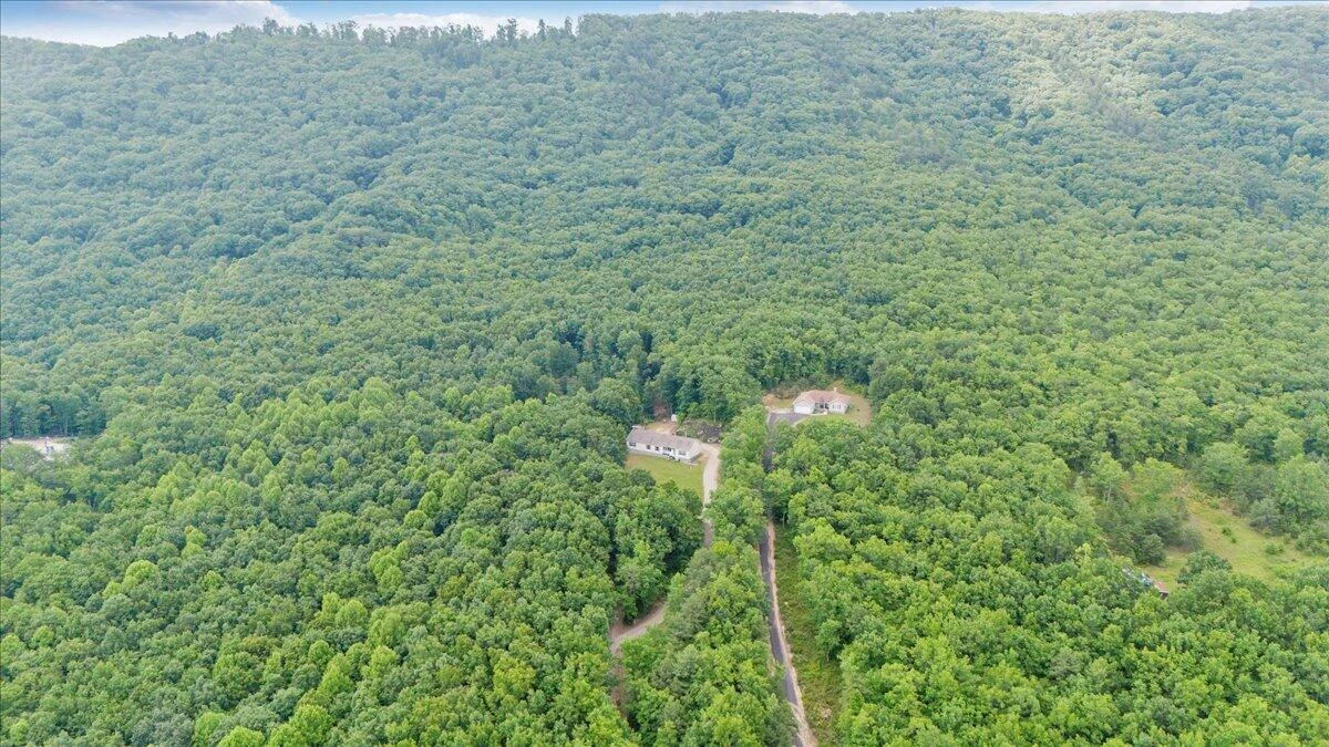 384 White Oak LN - Photo 44