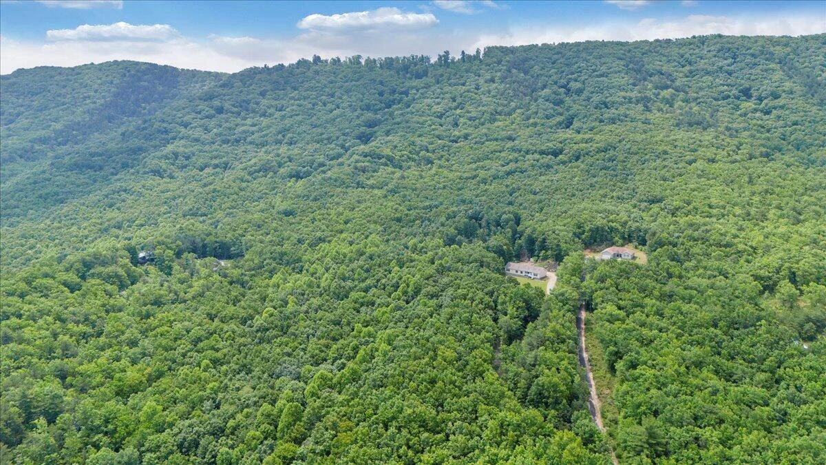 384 White Oak LN - Photo 47