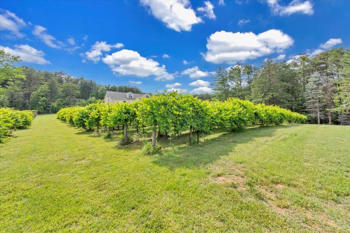 60 Tara DR - Photo 52