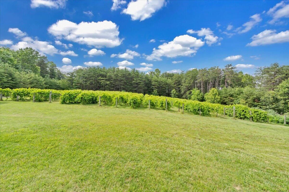 60 Tara DR - Photo 55
