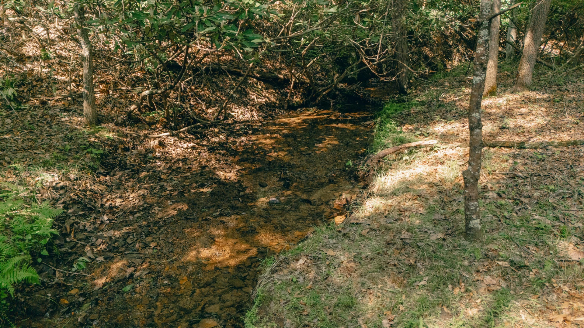00 Robinson Tract RD - Photo 10