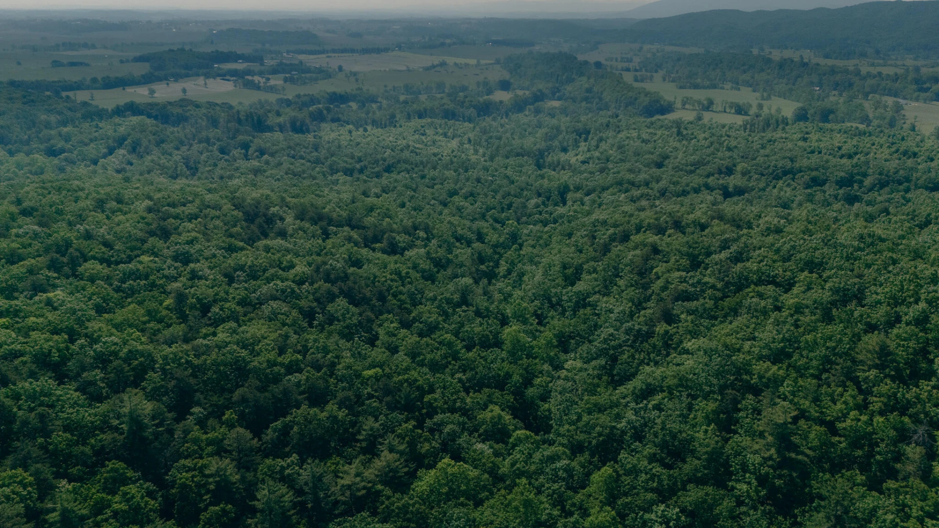 00 Robinson Tract RD - Photo 11