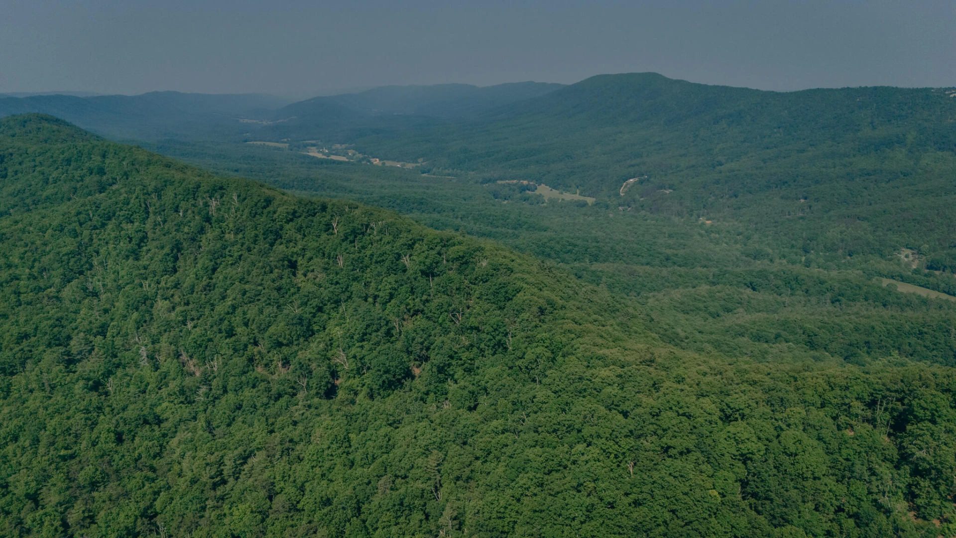 00 Robinson Tract RD - Photo 12