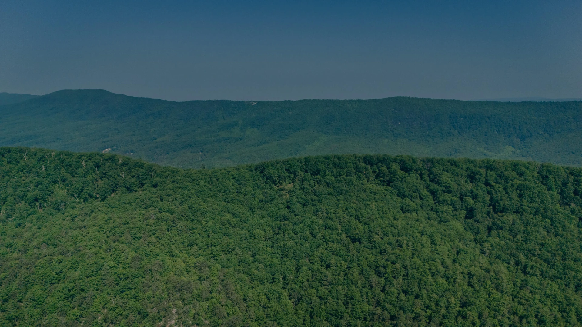00 Robinson Tract RD - Photo 14