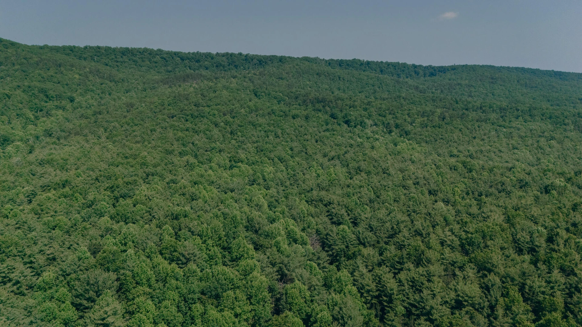 00 Robinson Tract RD - Photo 15
