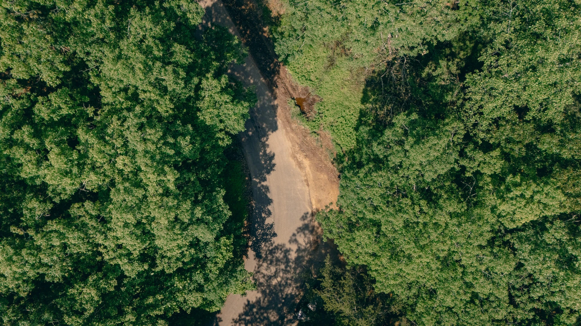 00 Robinson Tract RD - Photo 16
