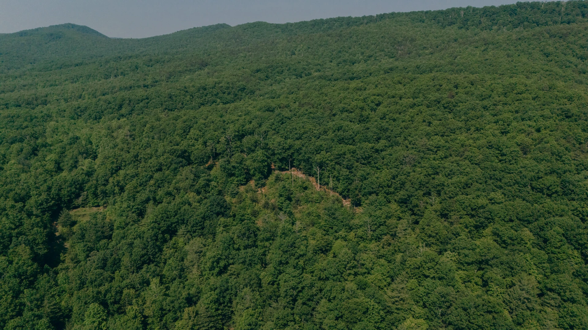 00 Robinson Tract RD - Photo 17