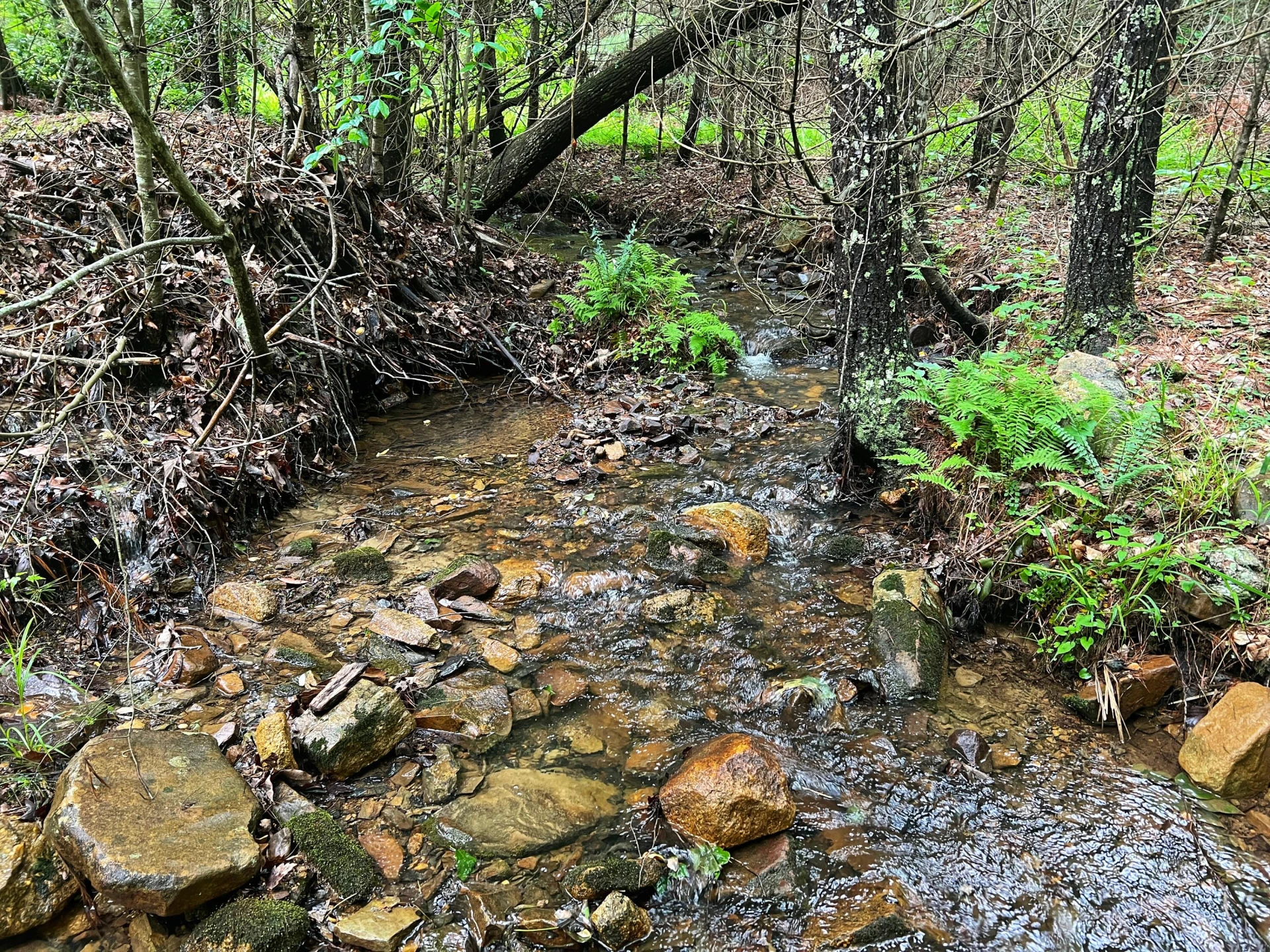 00 Robinson Tract RD - Photo 30