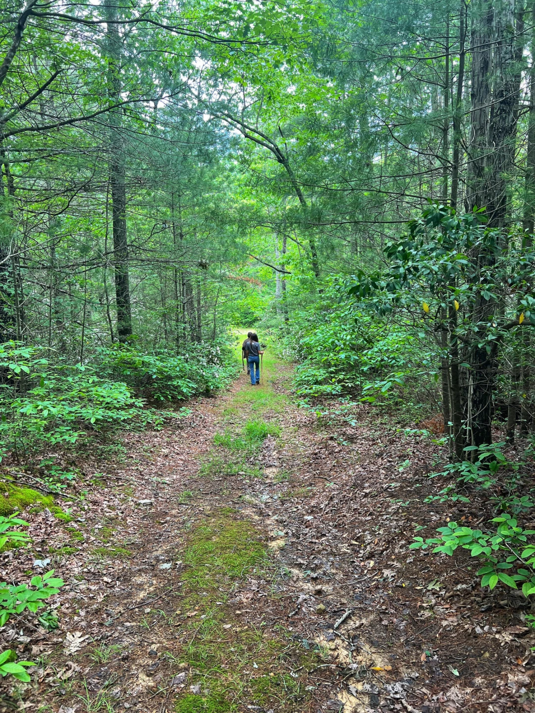 00 Robinson Tract RD - Photo 32