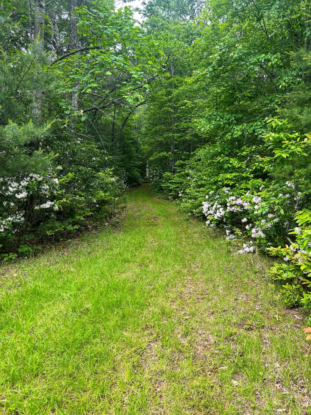 00 Robinson Tract RD - Photo 36