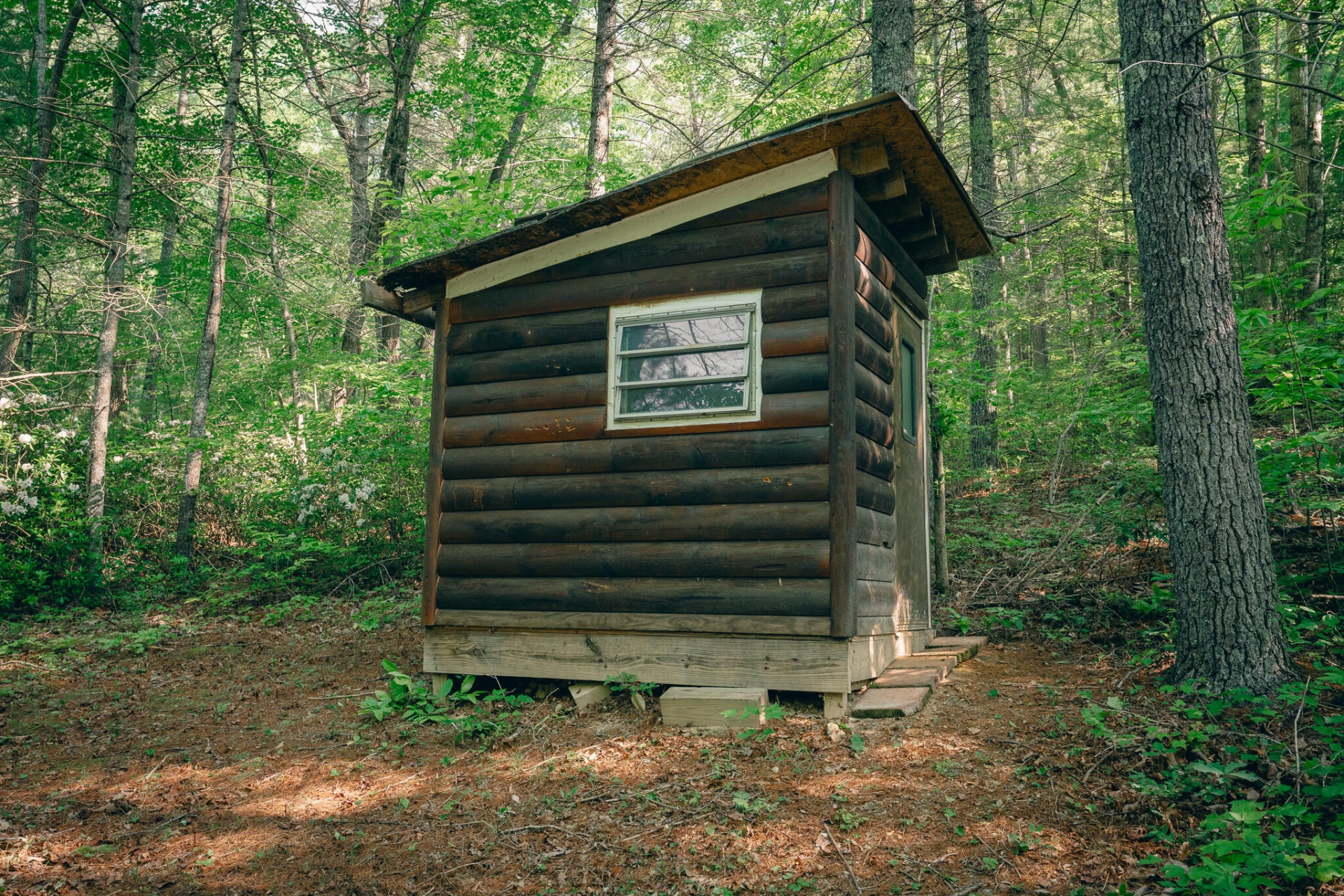 00 Robinson Tract RD - Photo 7