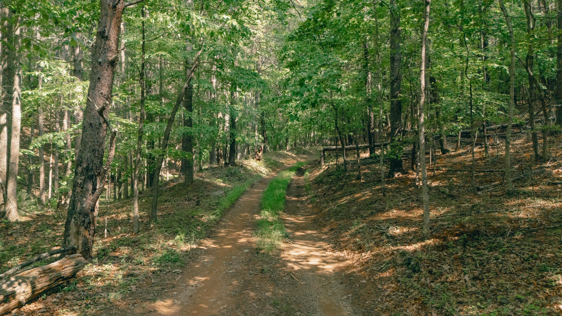 00 Robinson Tract RD - Photo 8