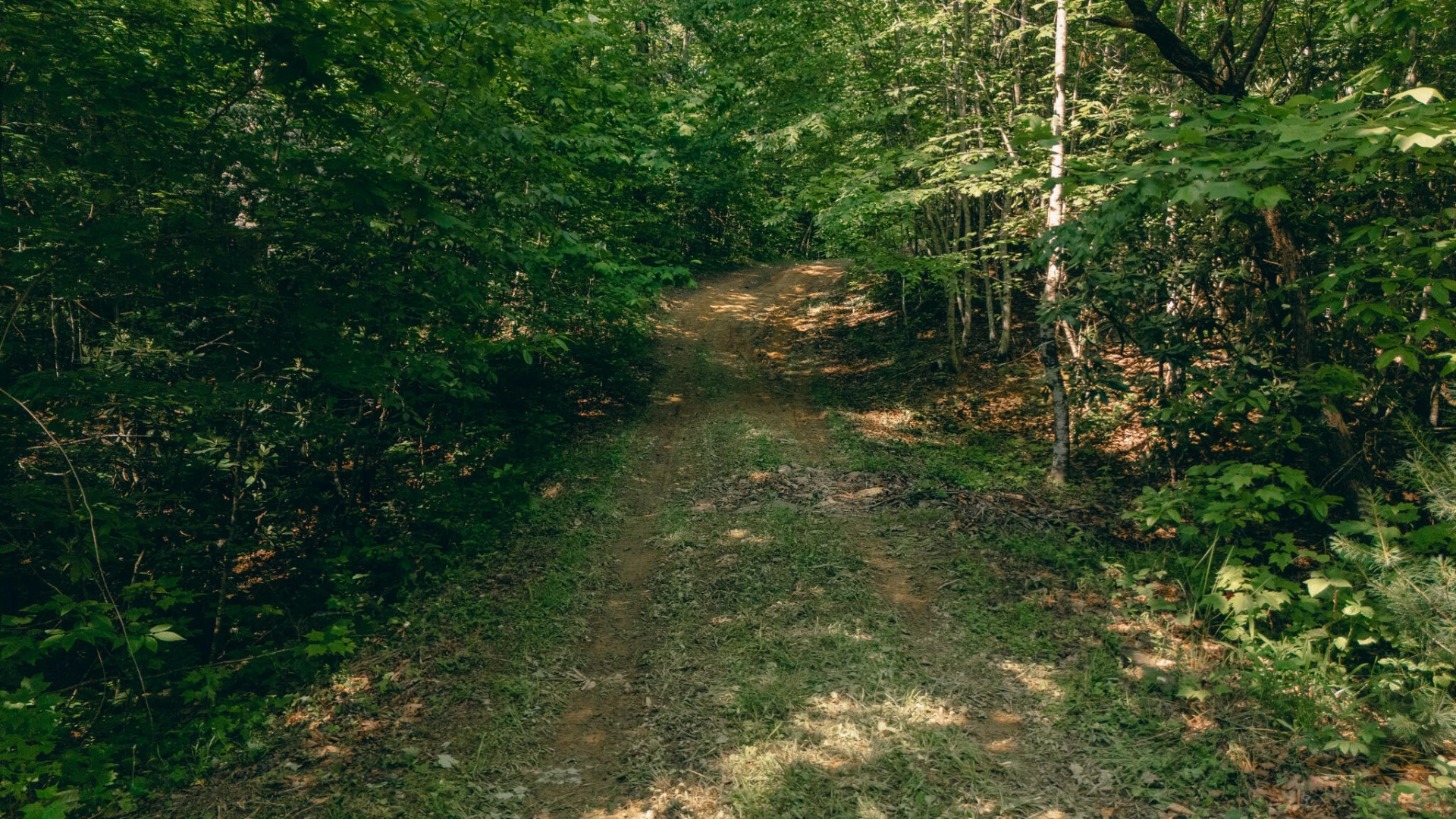 00 Robinson Tract RD - Photo 9