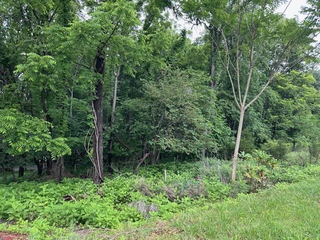 Lot 3 Hales Ford RD