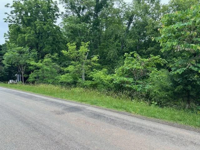 Lot 3 Hales Ford RD - Photo 2