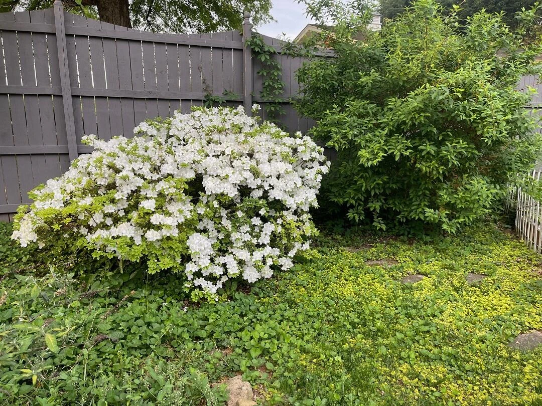 3210 Orchard Hill RD SW - Photo 36