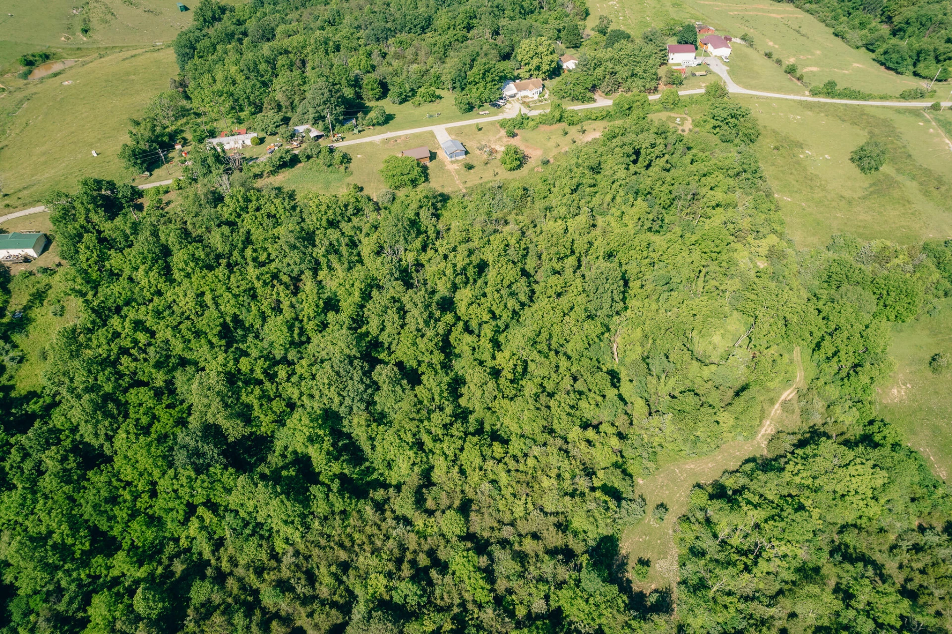 5145 Deertrot RD - Photo 24
