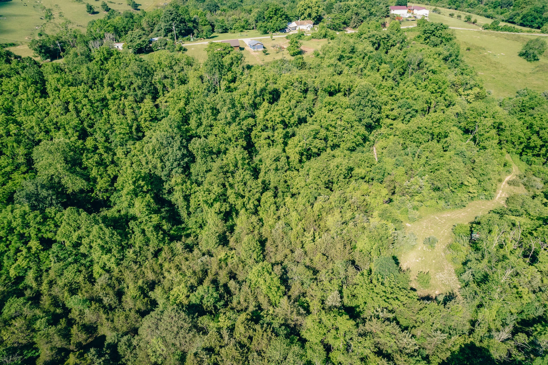 5145 Deertrot RD - Photo 25