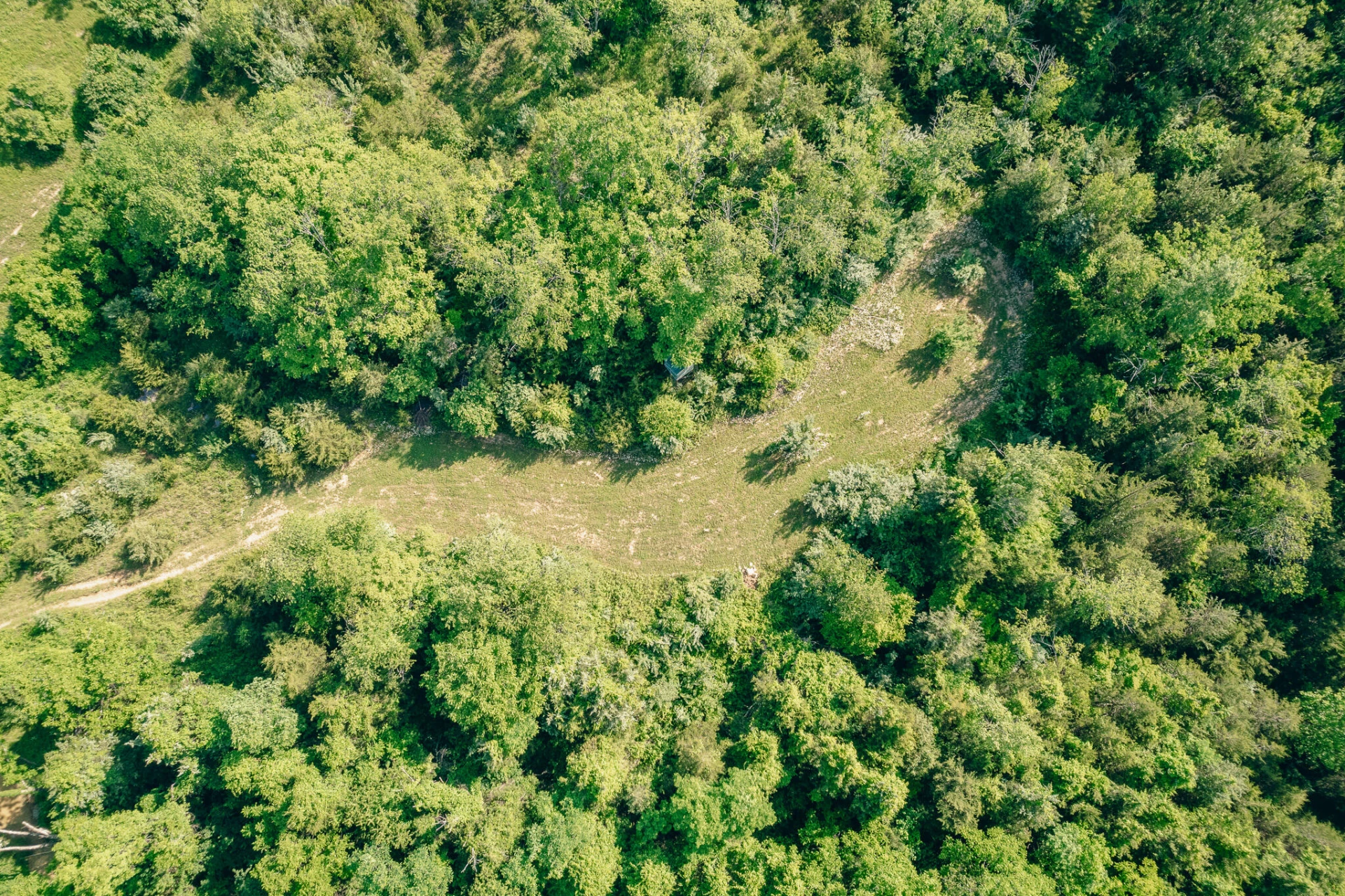 5145 Deertrot RD - Photo 26