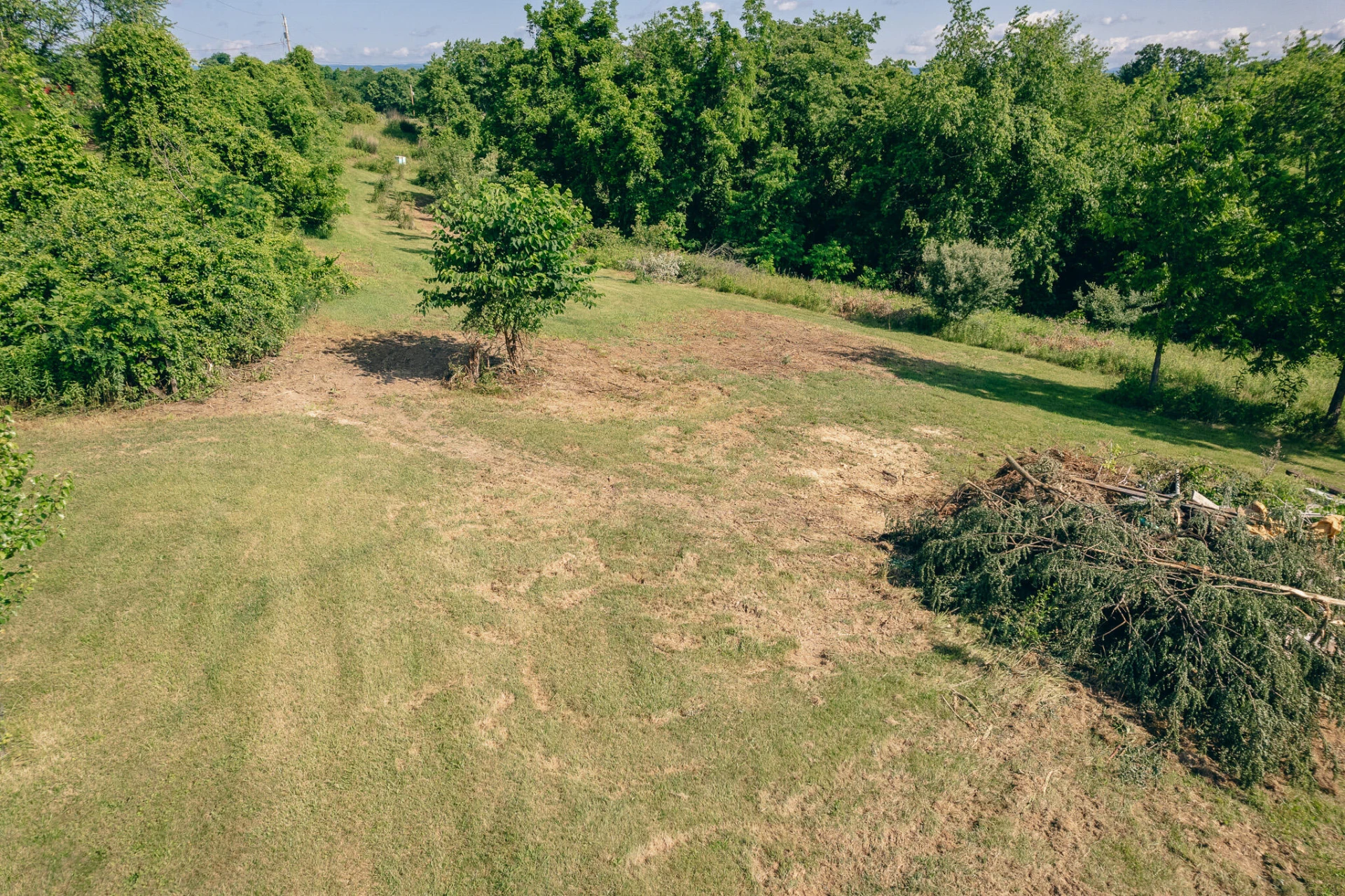 5145 Deertrot RD - Photo 30