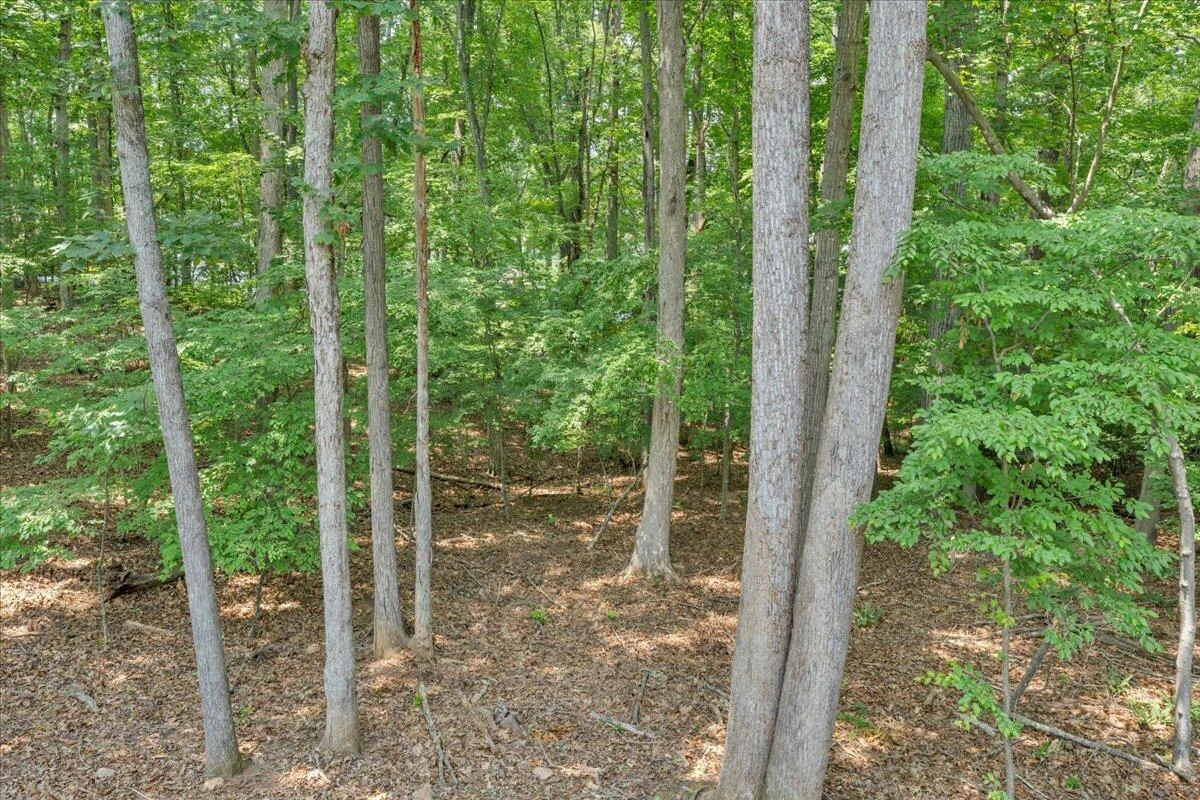 2365 Lakewood Forest RD - Photo 47