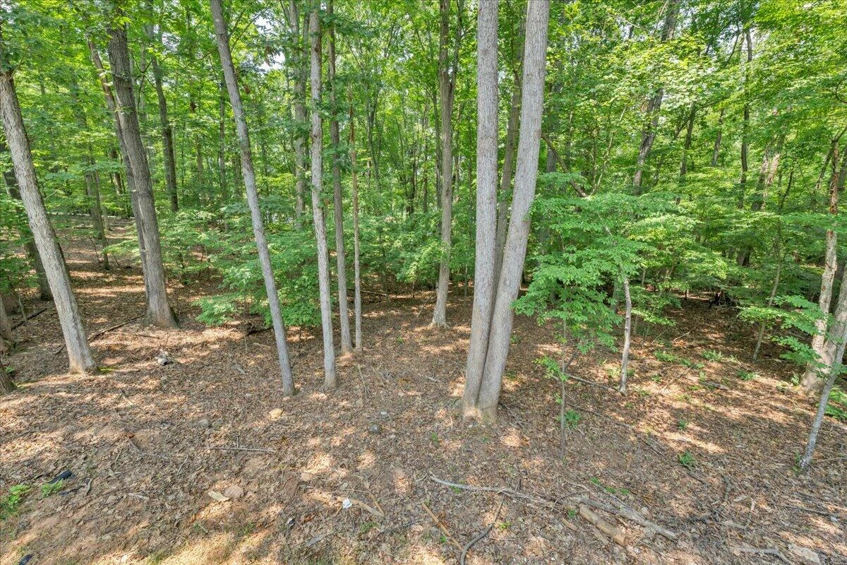2365 Lakewood Forest RD - Photo 51