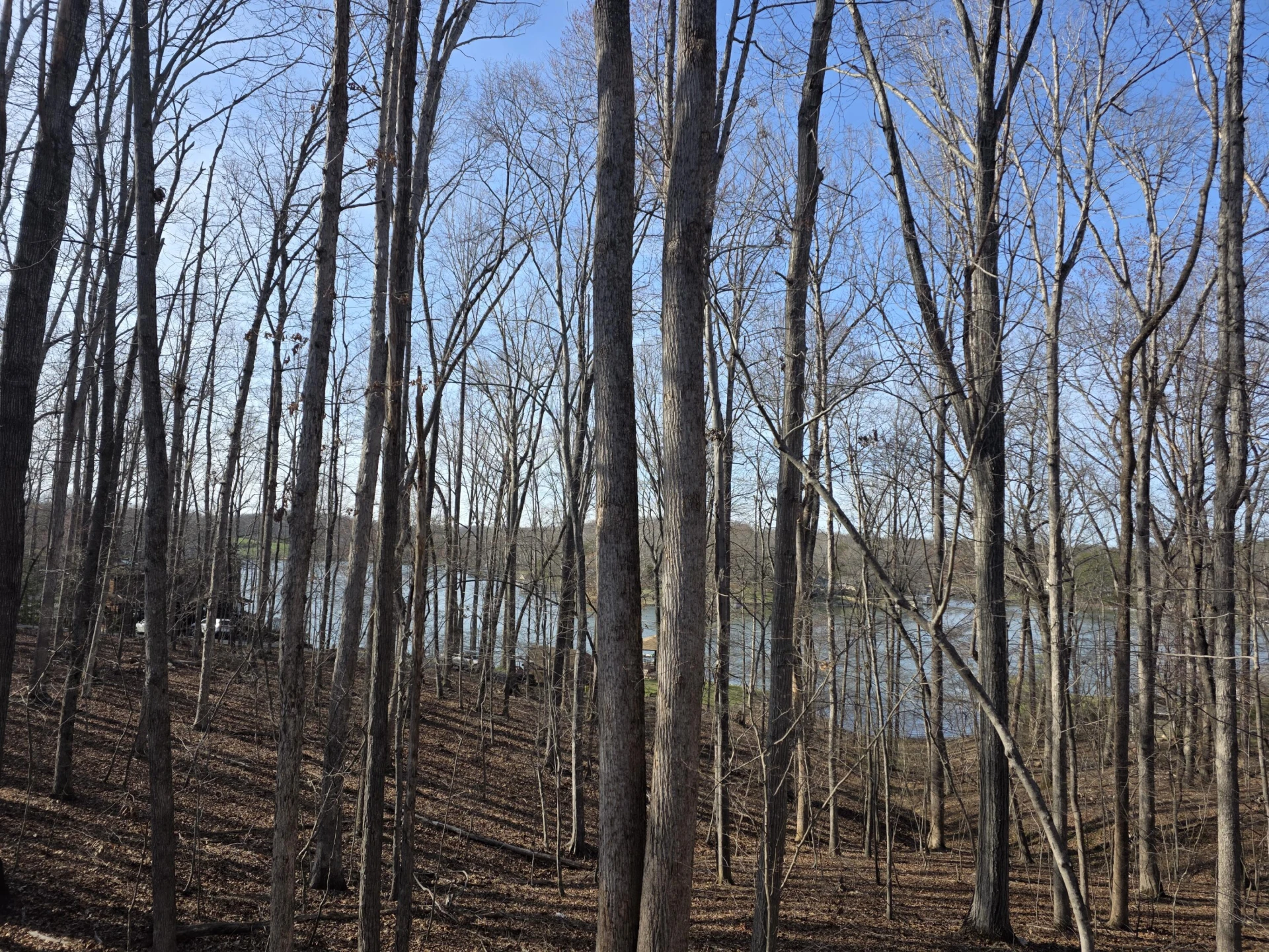 2365 Lakewood Forest RD - Photo 93