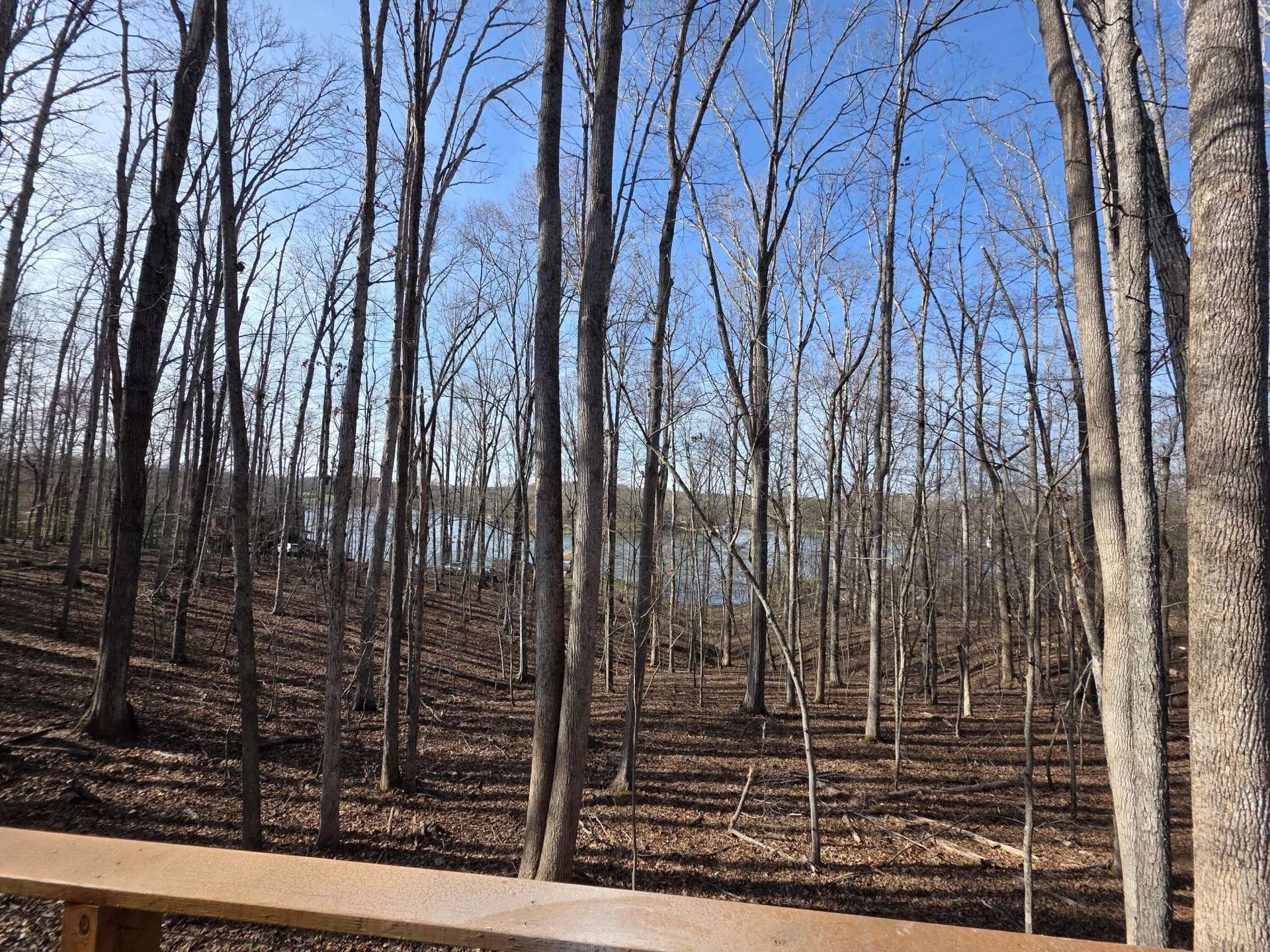 2365 Lakewood Forest RD - Photo 94