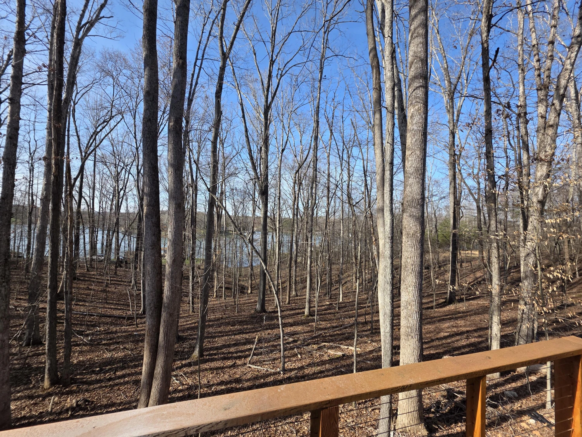 2365 Lakewood Forest RD - Photo 95